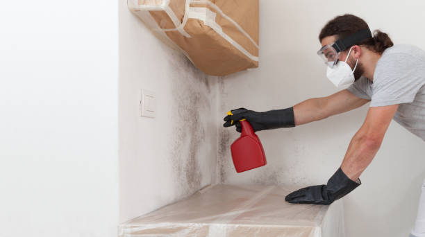 Professional Bathroom Mold Removal technician working in Atlanta, IL