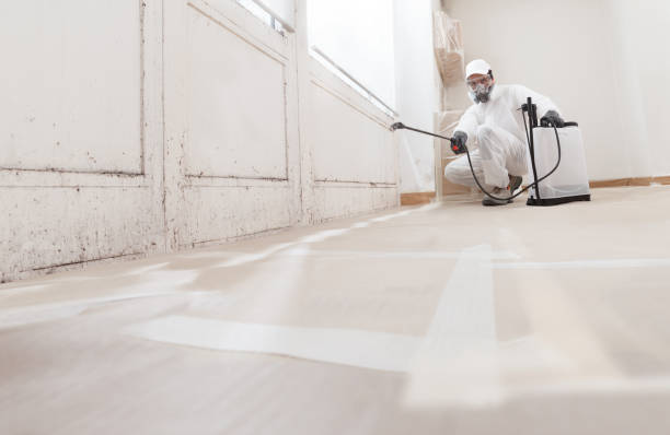 24/7 Emergency Bathroom Mold Removal experts in Atlanta, IL