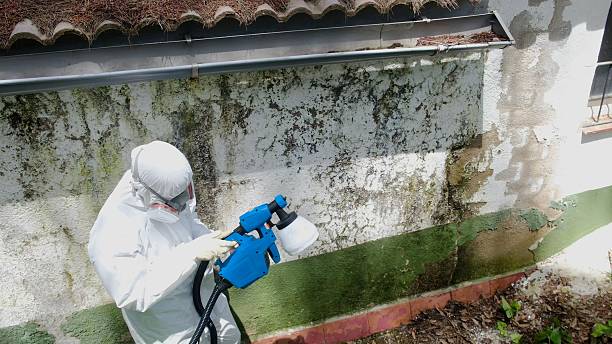 Top rated local Bathroom Mold Removal specialists in Atlanta, IL
